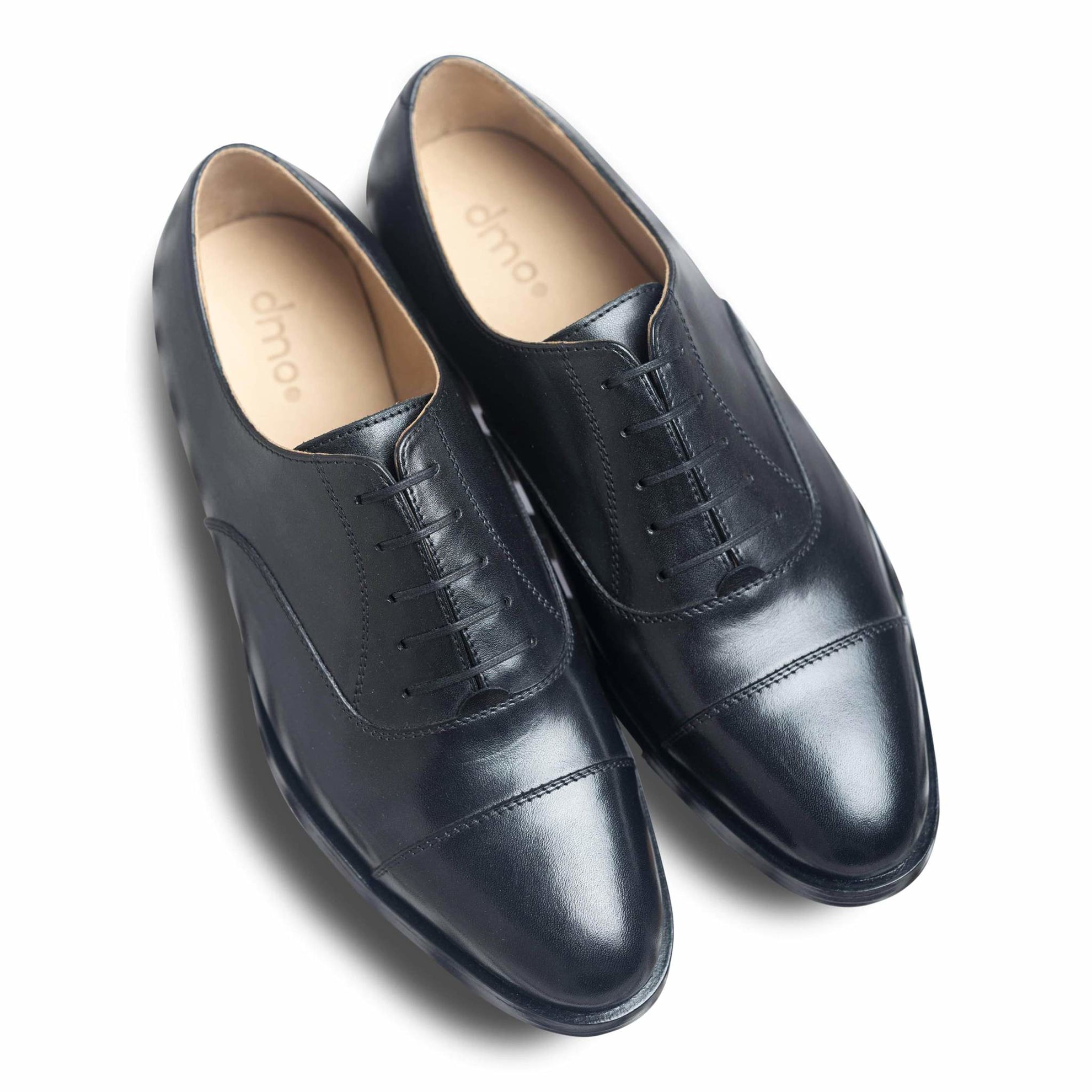 Capto Assasino - Ciceronidmodot