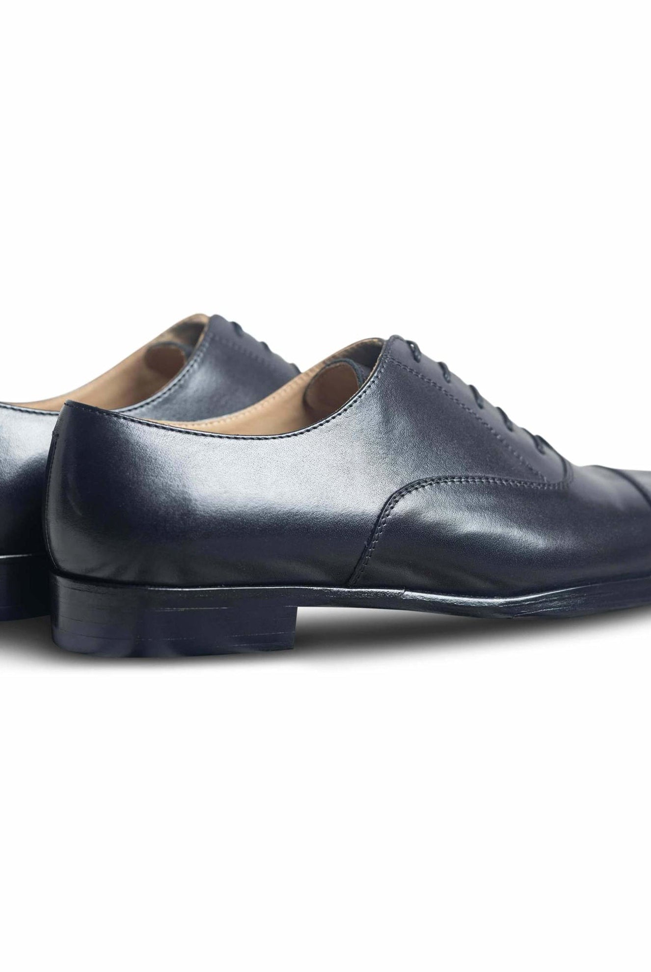 Capto Assasino - Ciceronidmodot