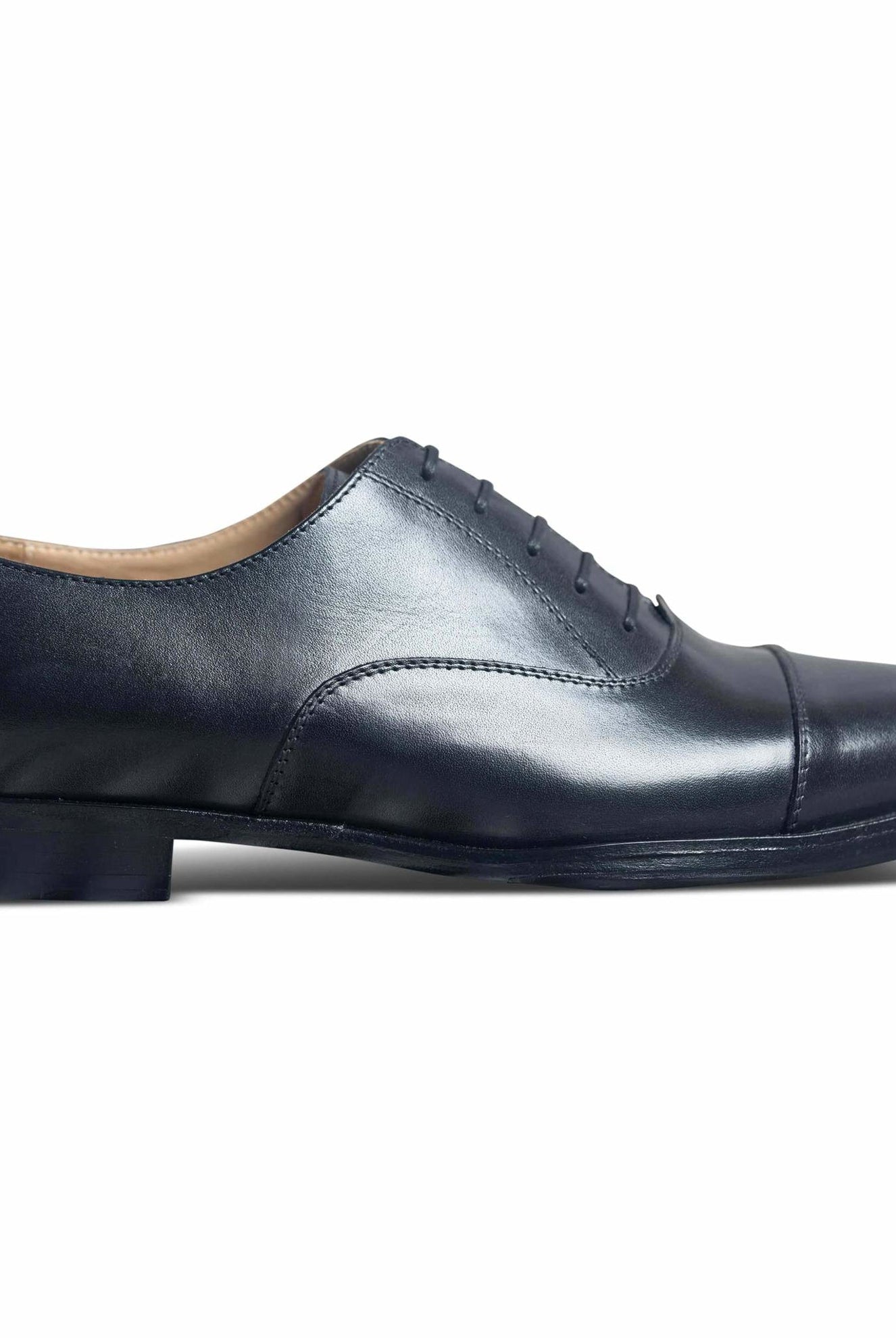 Capto Assasino - Ciceronidmodot