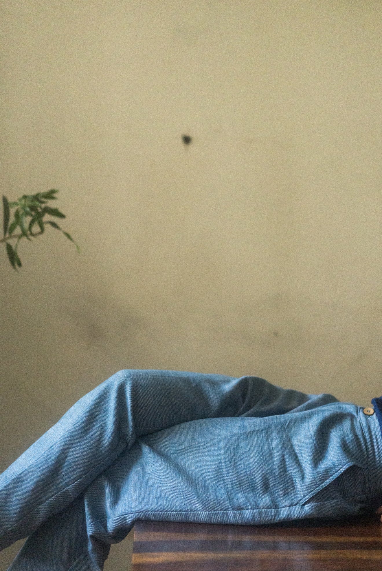 Cerulean Pants - Ciceroniwith N.