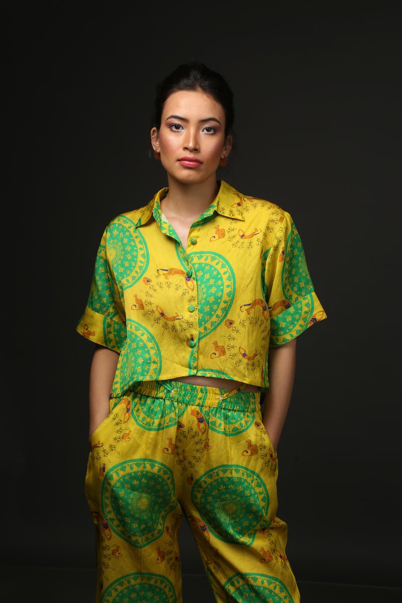 City Cat Top Co-ord - CiceroniCo-ord SetEkastories