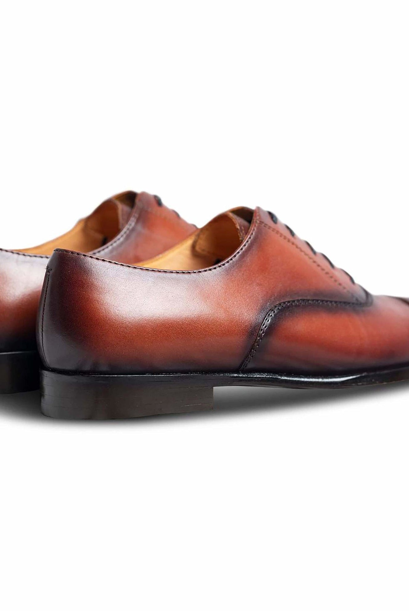 Cognaco - Ciceronidmodot