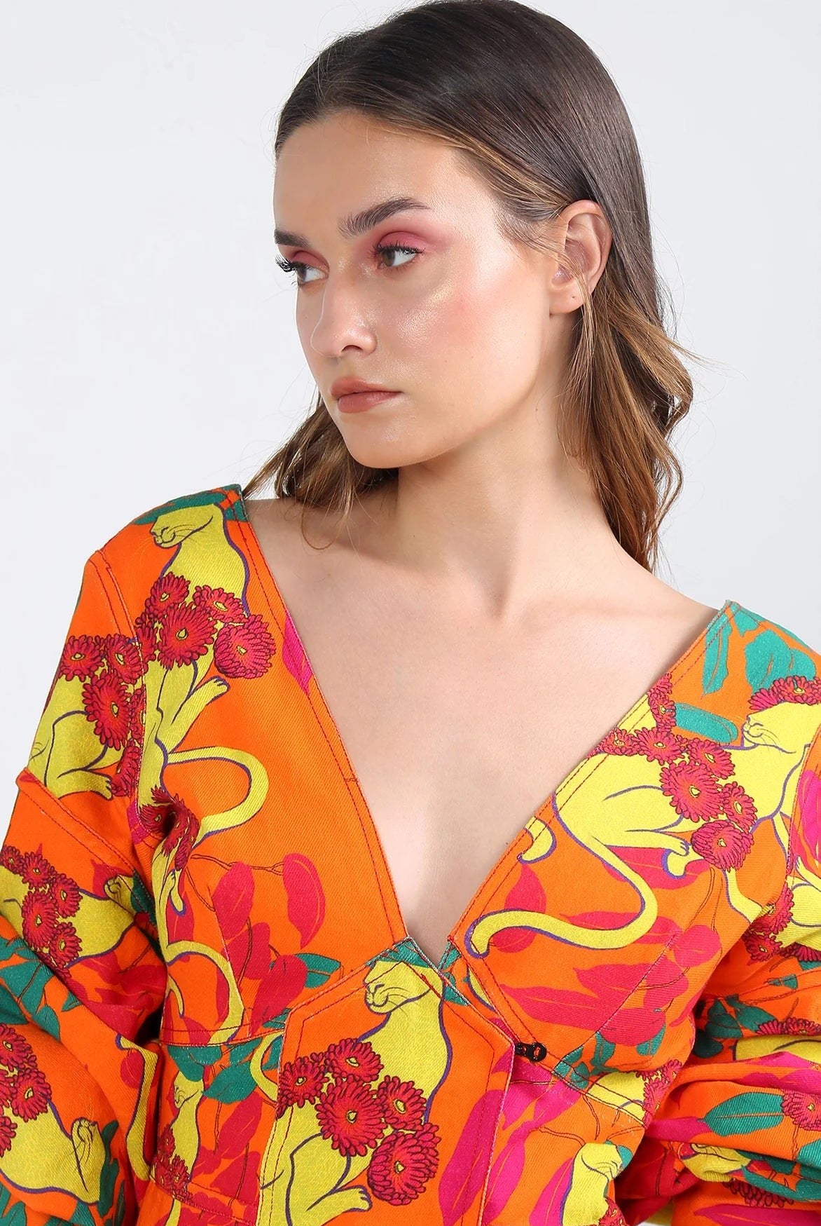 Coral Cat Dress - CiceroniDressesEkastories