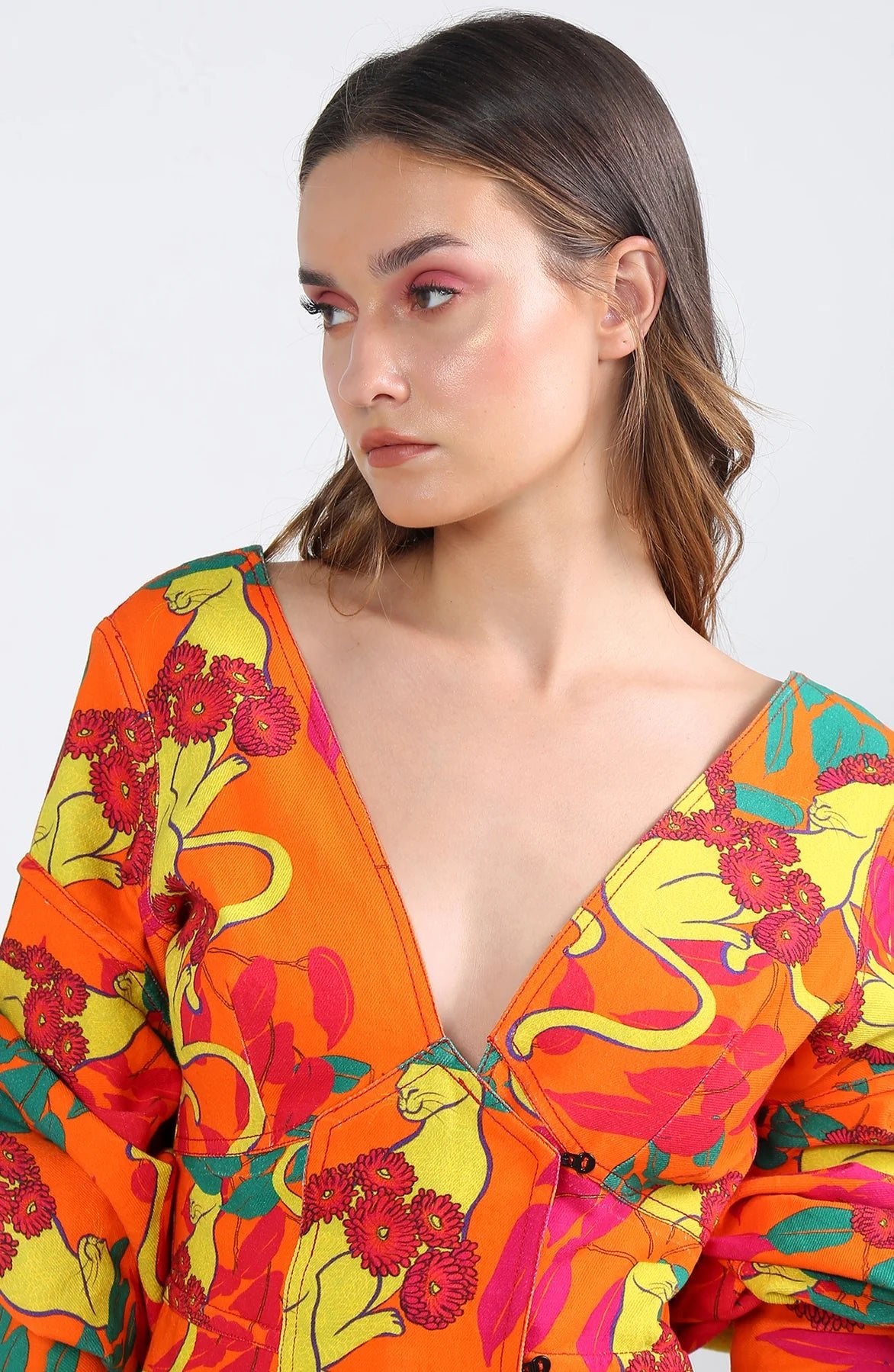 Coral Cat Dress - CiceroniDressesEkastories