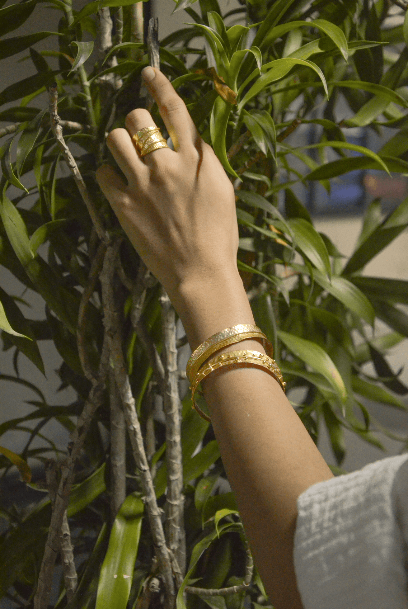 Dira Bangle - Morning Dew (Gold) -Set of 2 - CiceroniEquiivalence