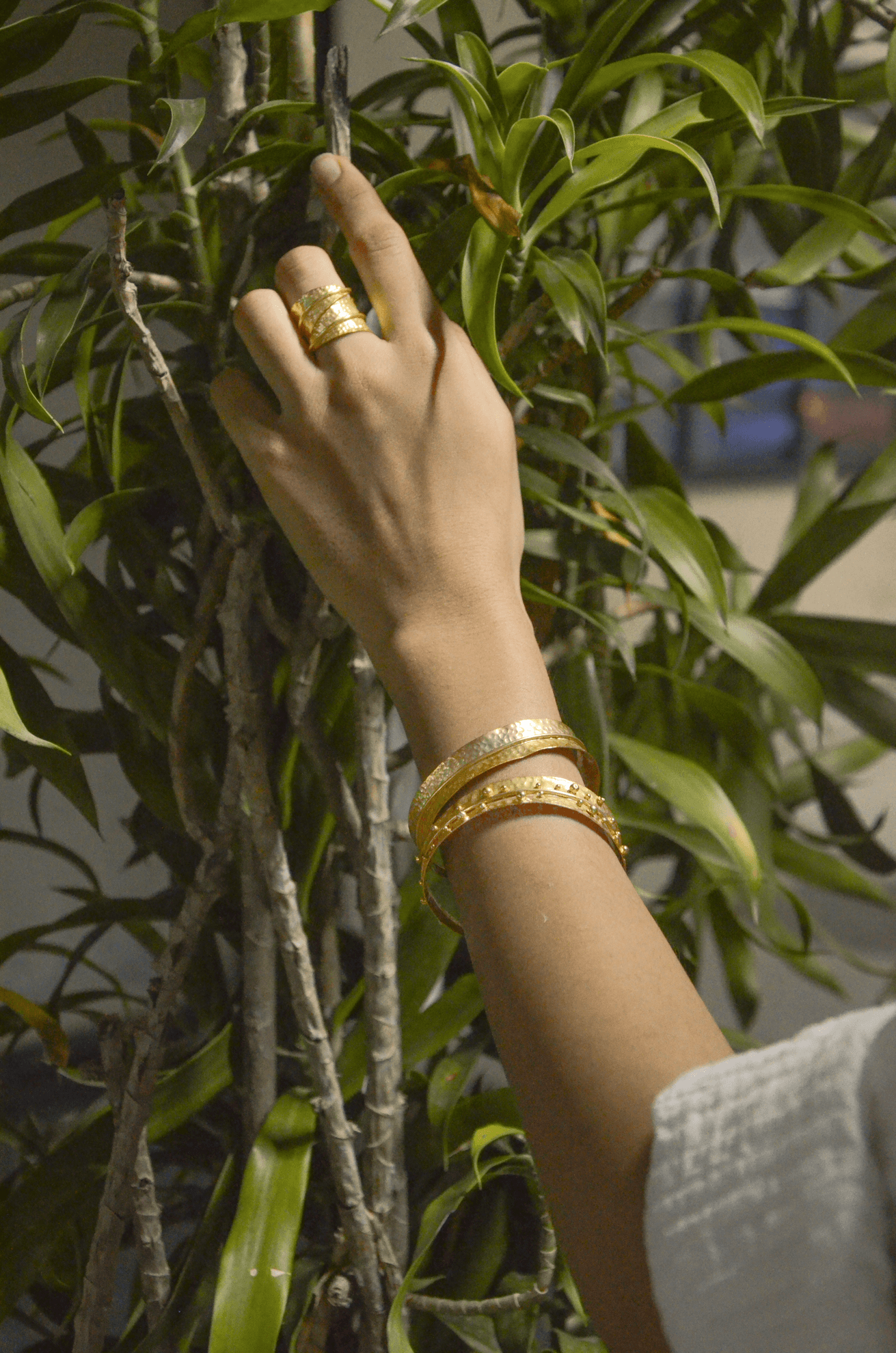 Dira Bangle - Morning Dew (Gold) -Set of 2 - CiceroniEquiivalence