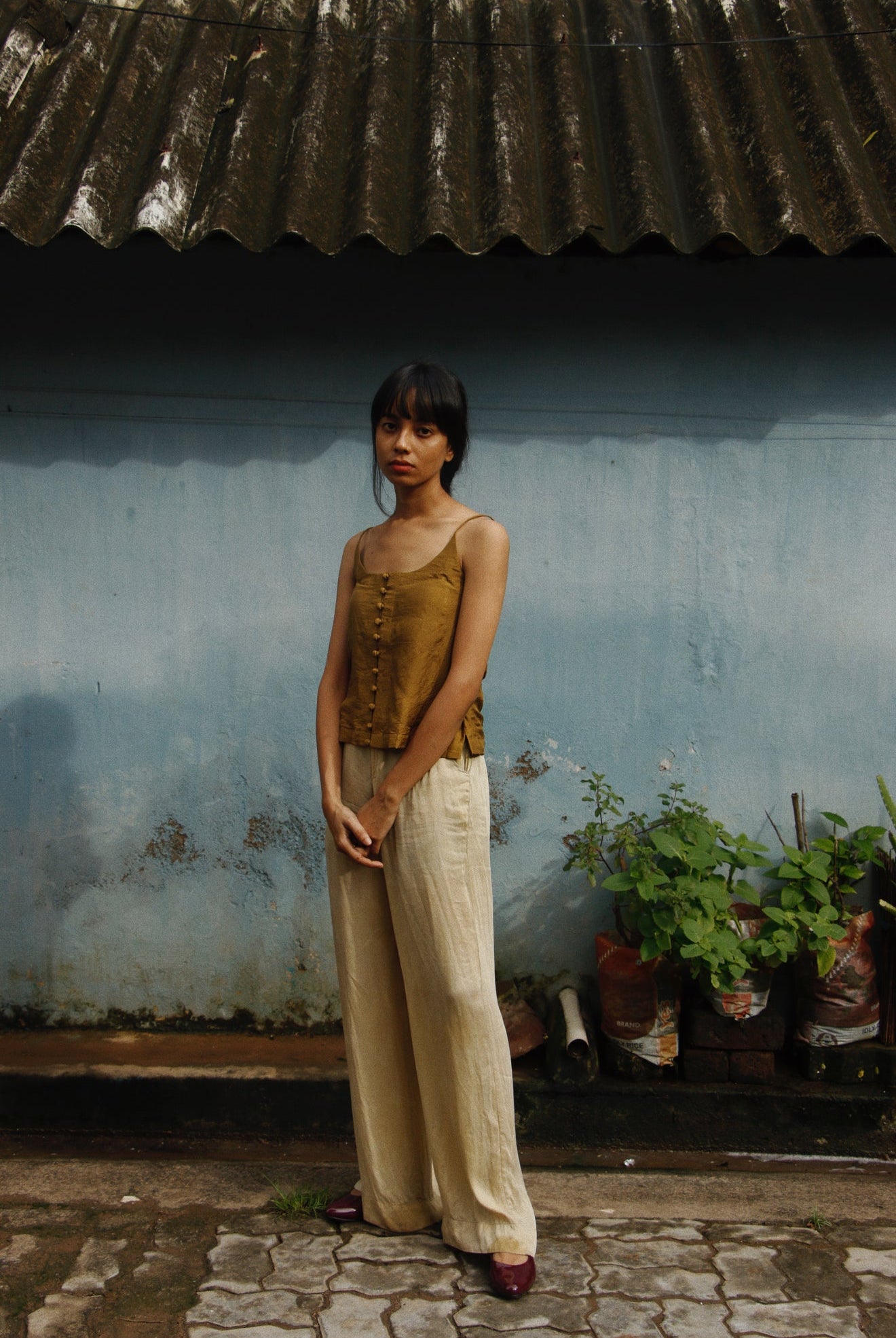 Dirty Gold Top - Ciceroniwith N.