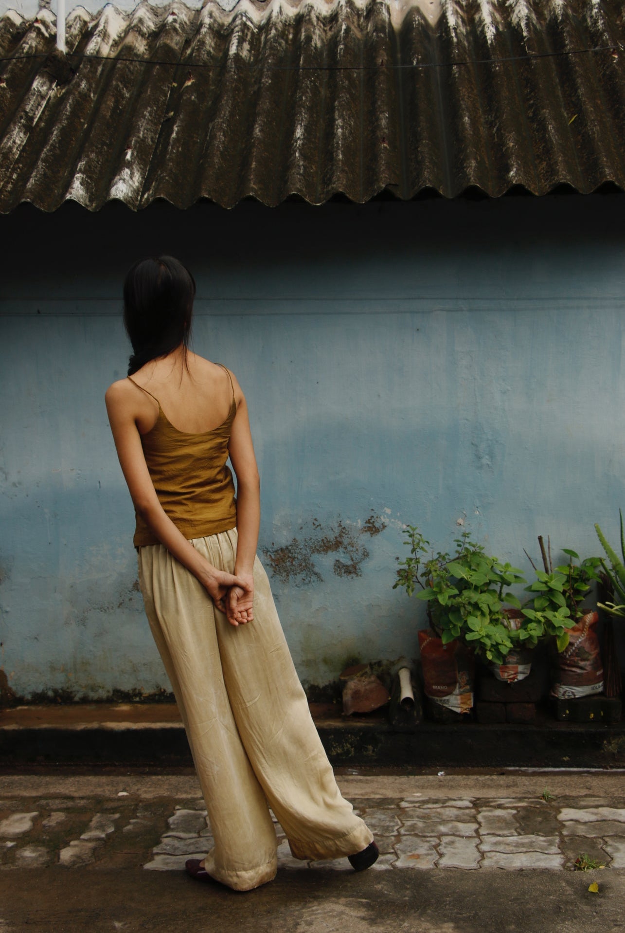 Dirty Gold Top - Ciceroniwith N.