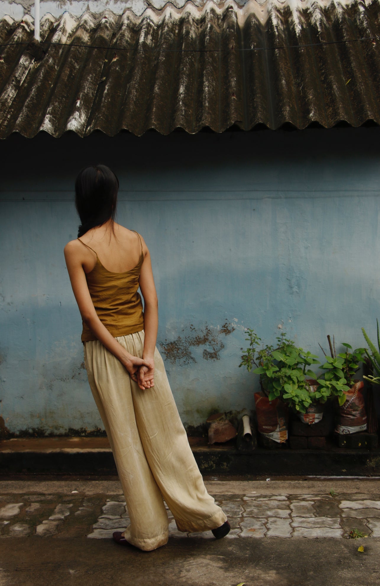 Dirty Gold Top - Ciceroniwith N.