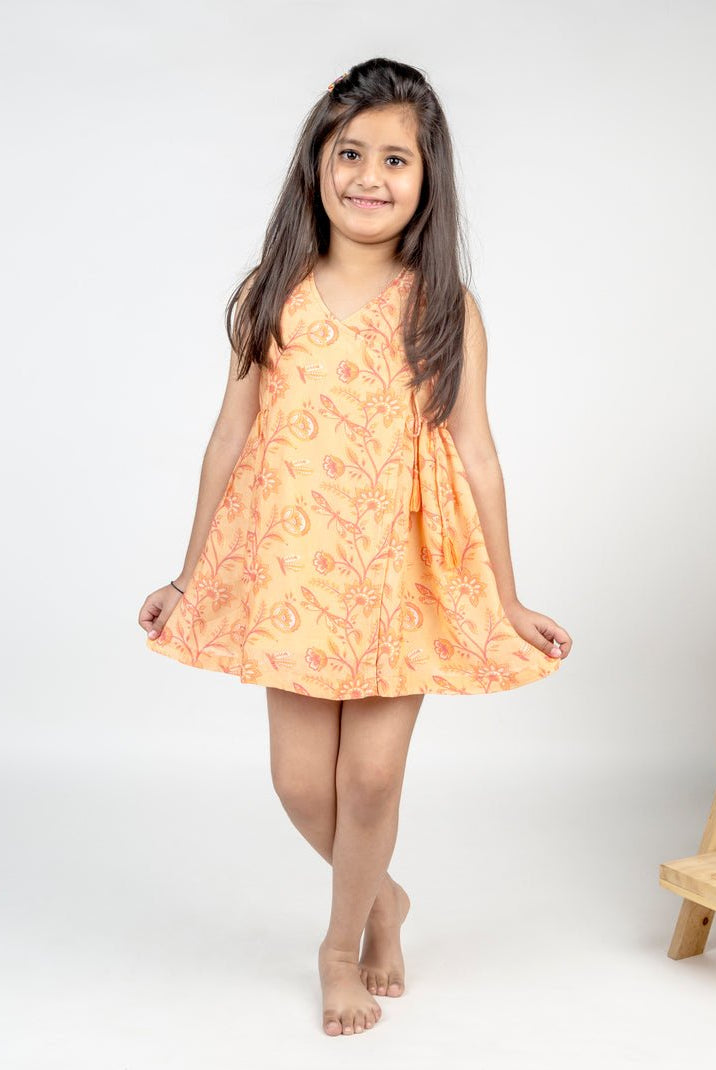 Dragon Fly Bel Jaal Angrakha Dress - CiceroniDressesMr. Brat