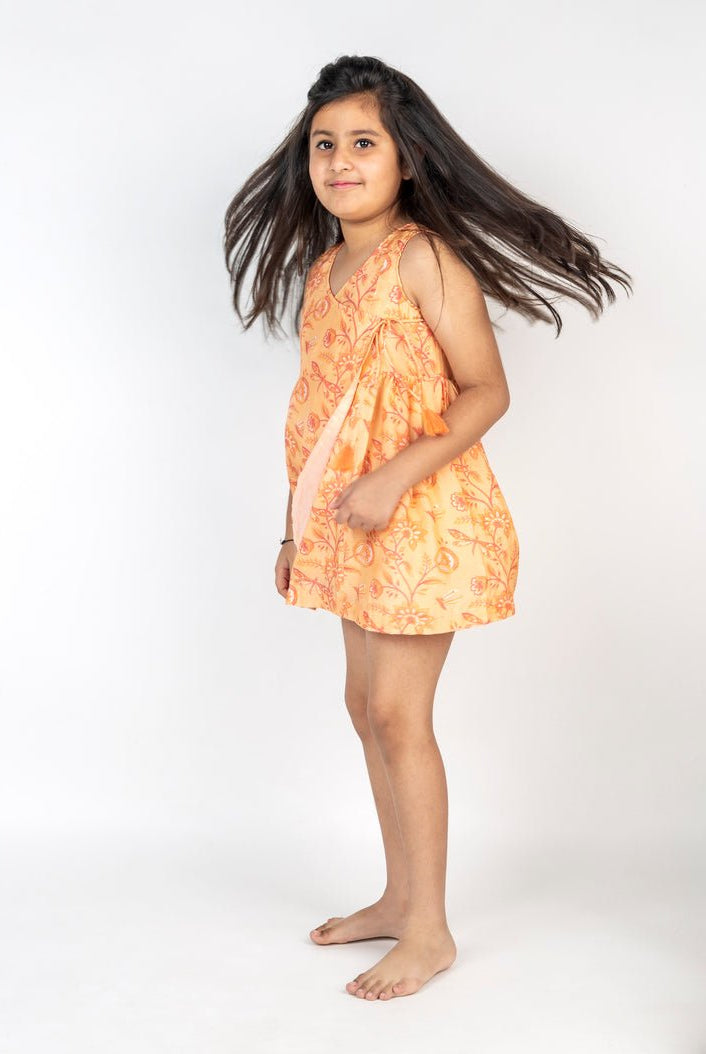 Dragon Fly Bel Jaal Angrakha Dress - CiceroniDressesMr. Brat