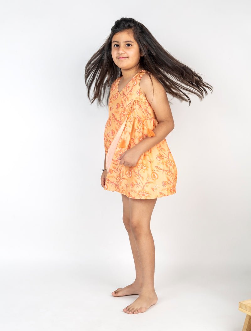 Dragon Fly Bel Jaal Angrakha Dress - CiceroniDressesMr. Brat