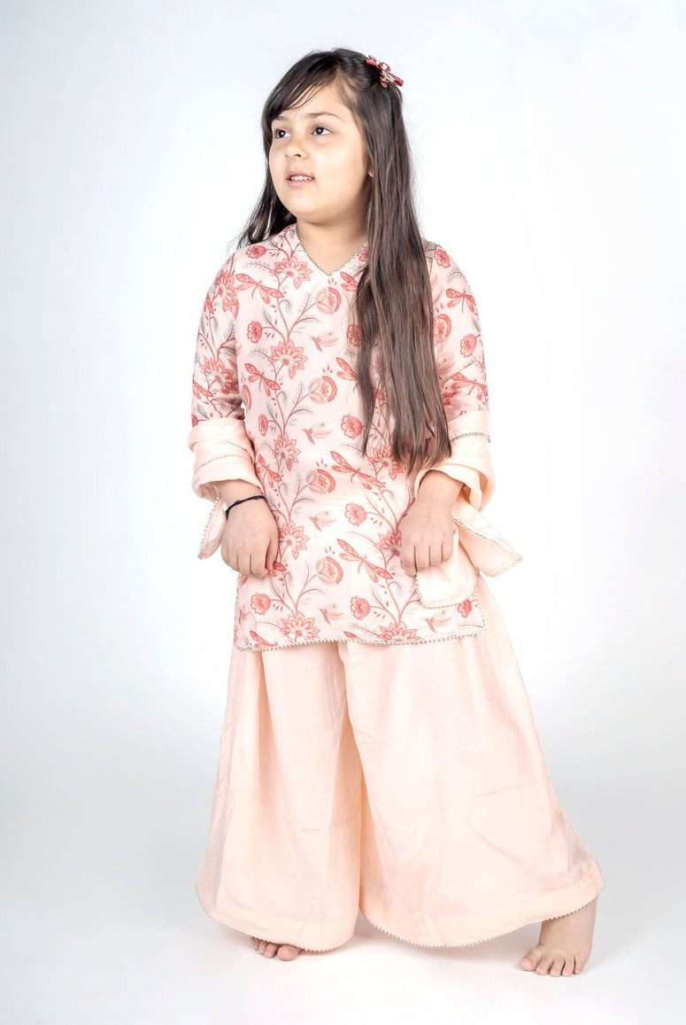 Dragon Fly Bel Jaal Kurta Sharara Set - CiceroniKurta Set, Festive wearMr. Brat