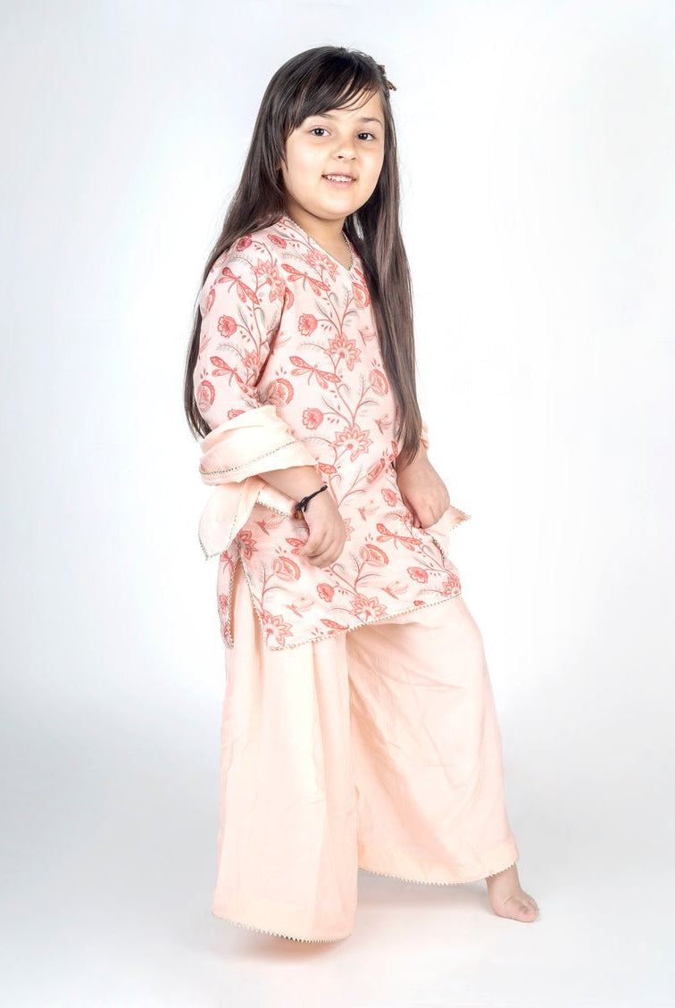 Dragon Fly Bel Jaal Kurta Sharara Set - CiceroniKurta Set, Festive wearMr. Brat