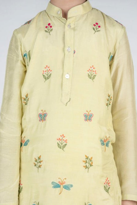 Dragon Fly Buta Embroidered Kurta Set - CiceroniKurta Set, Festive wearMr. Brat