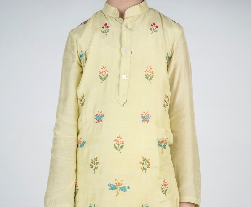 Dragon Fly Buta Embroidered Kurta Set - CiceroniKurta Set, Festive wearMr. Brat