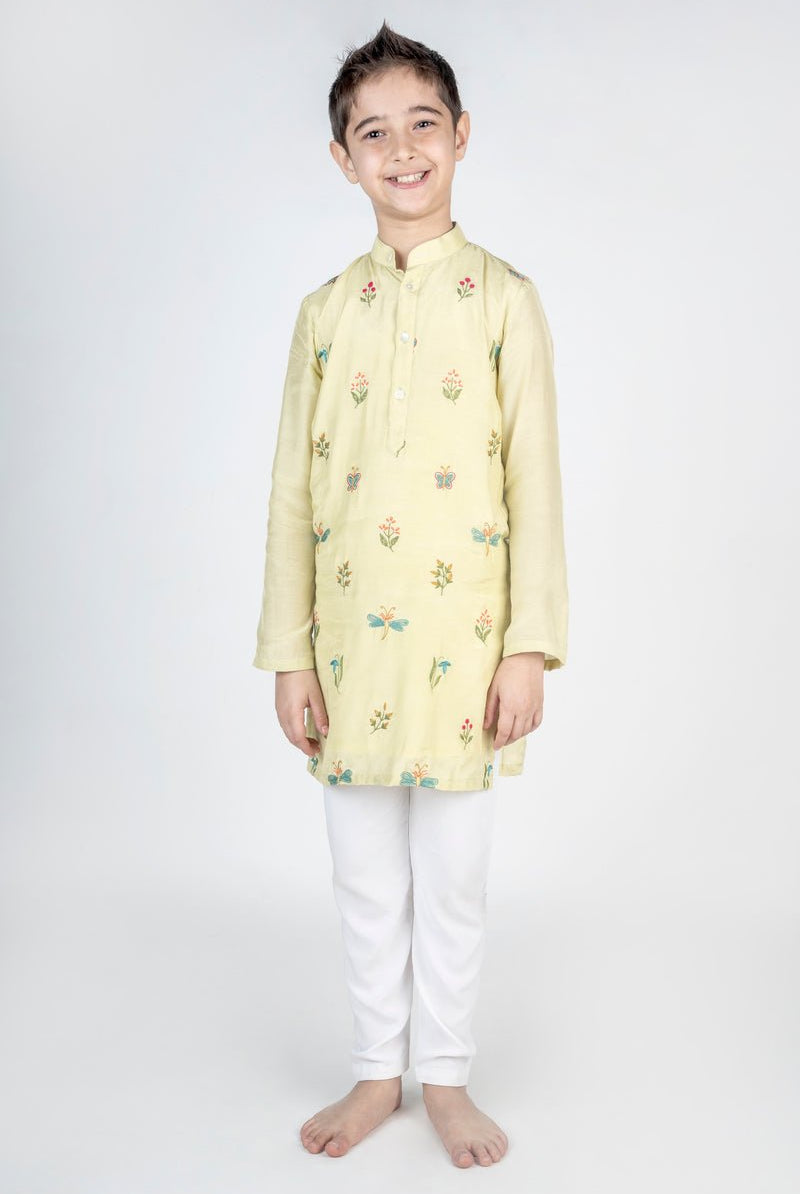 Dragon Fly Buta Embroidered Kurta Set - CiceroniKurta Set, Festive wearMr. Brat