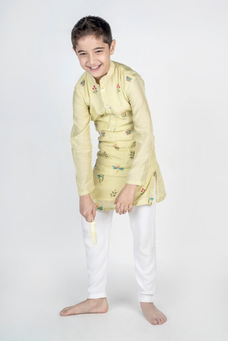 Dragon Fly Buta Embroidered Kurta Set - CiceroniKurta Set, Festive wearMr. Brat