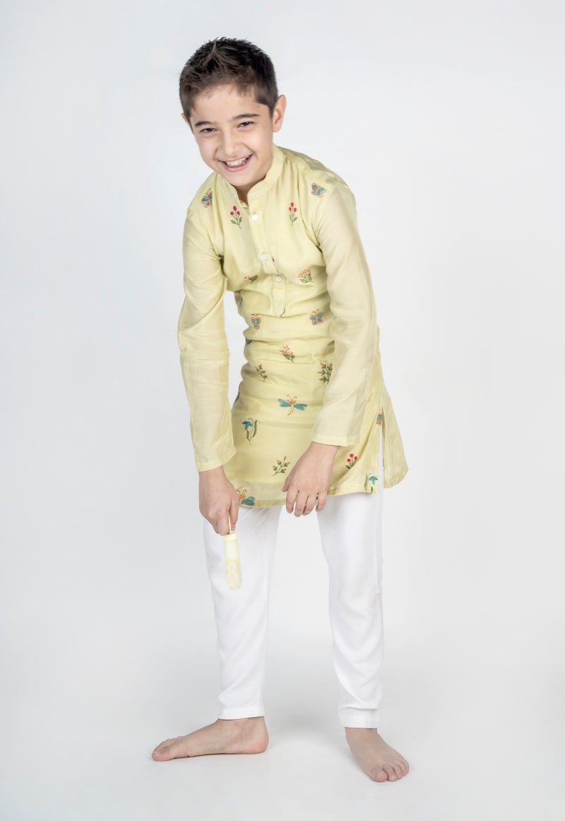 Dragon Fly Buta Embroidered Kurta Set - CiceroniKurta Set, Festive wearMr. Brat