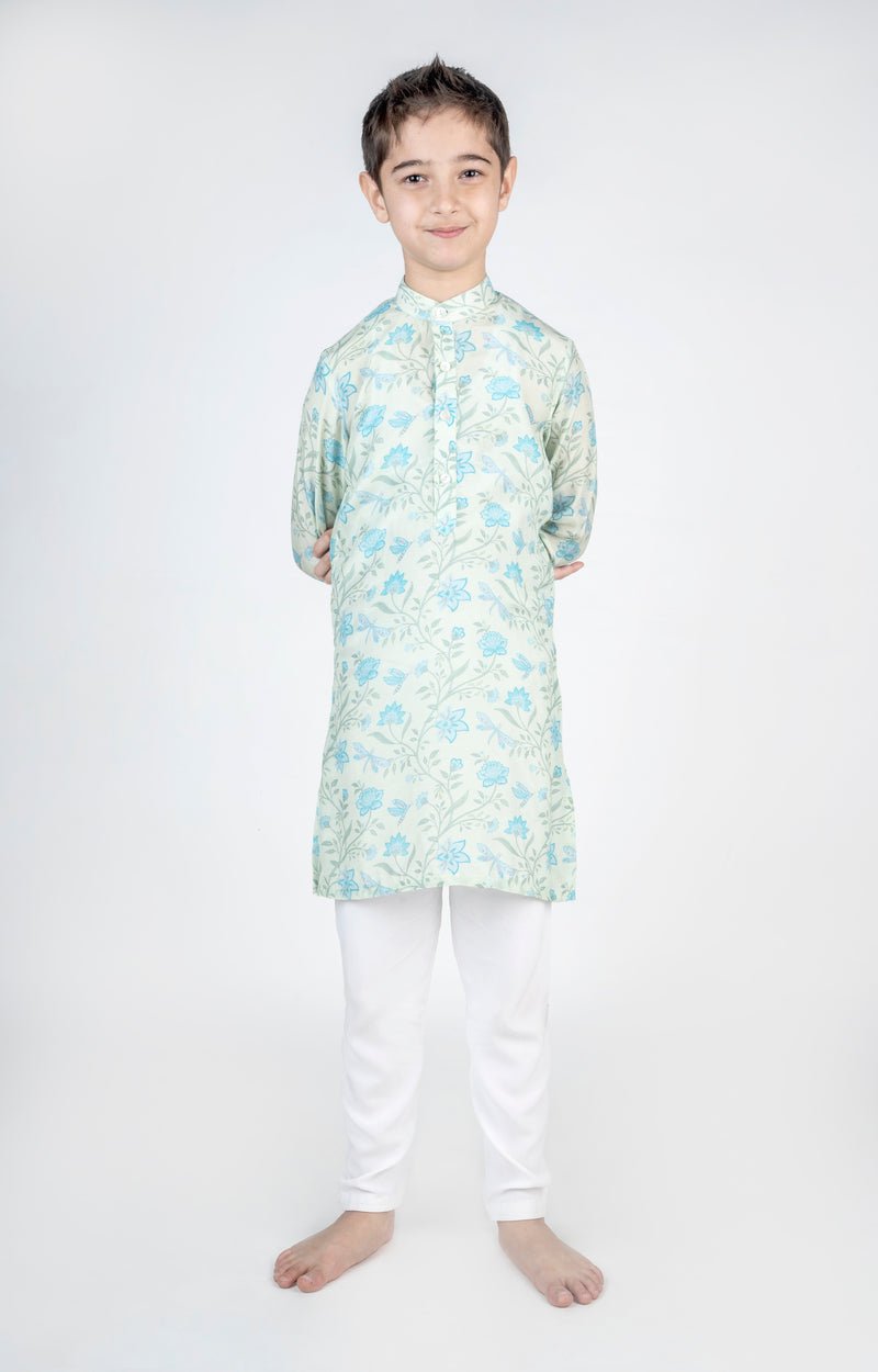 Dragon Fly Green Jaal Printed Kurta Set - CiceroniKurta Set, Festive wearMr. Brat