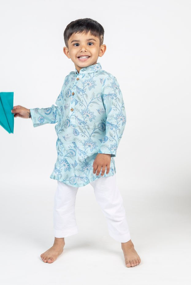 Dragon Fly Jaal Printed Kurta Set - CiceroniKurta Set, Festive wearMr. Brat