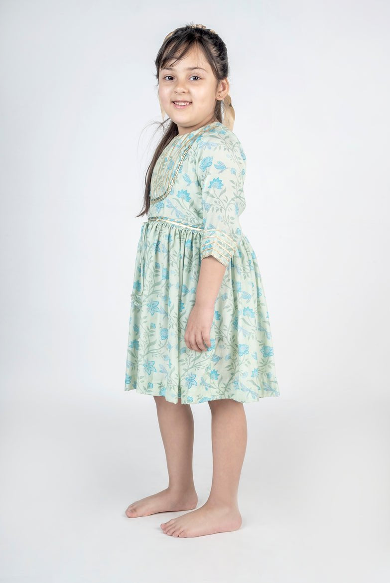 Dragon Fly Printed Muslin Lace Dress - CiceroniDressesMr. Brat