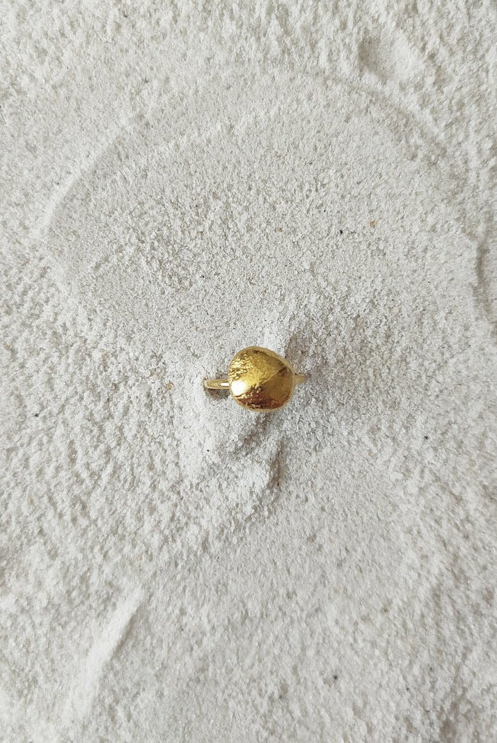 Drew - CiceroniRingDE'ANMA