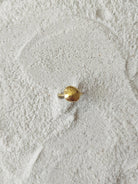 Drew - CiceroniRingDE'ANMA