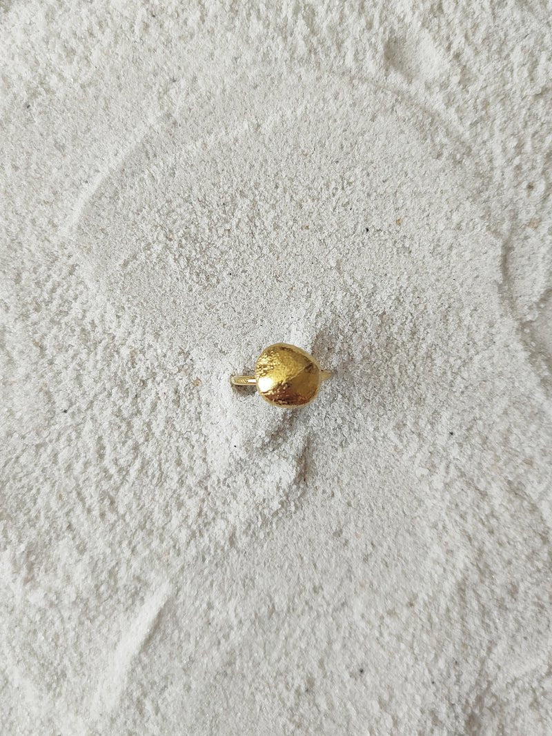 Drew - CiceroniRingDE'ANMA