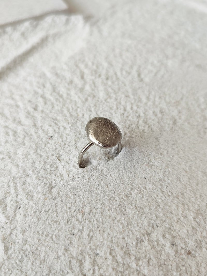 Drew - CiceroniRingDE'ANMA