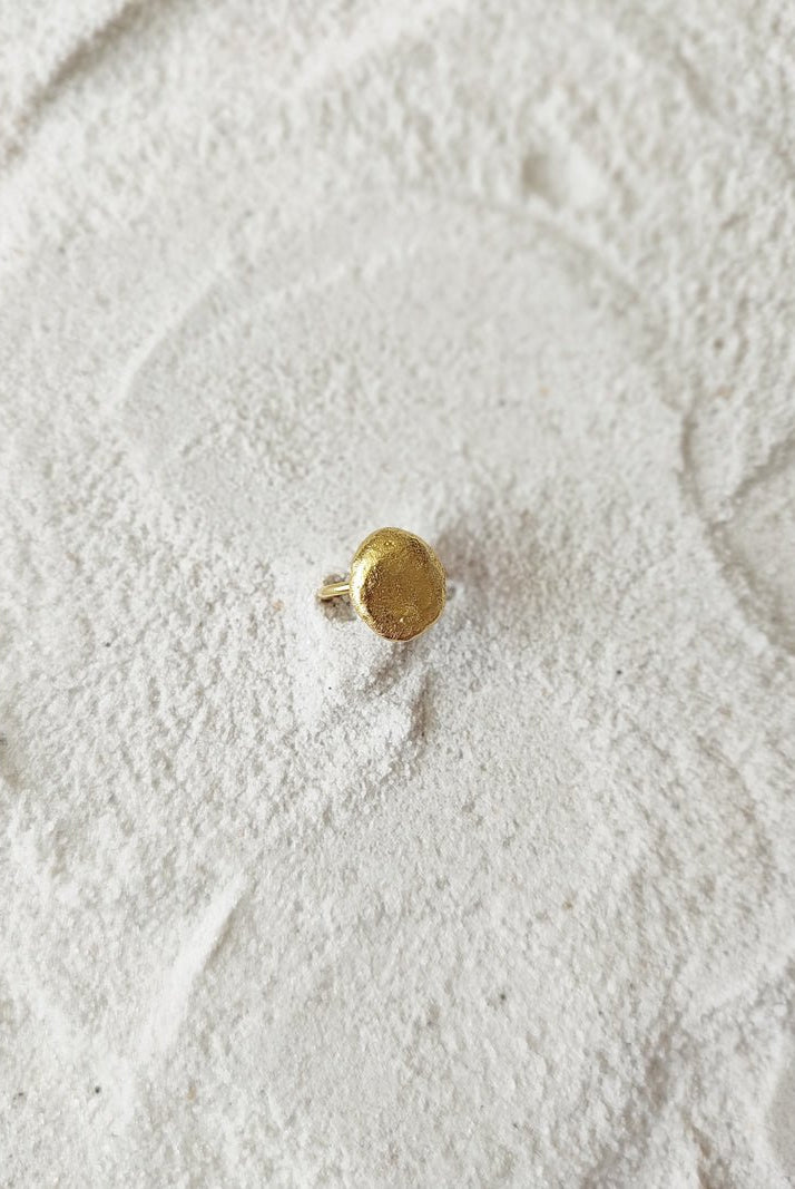 Drew - CiceroniRingDE'ANMA