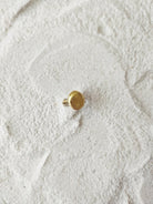 Drew - CiceroniRingDE'ANMA