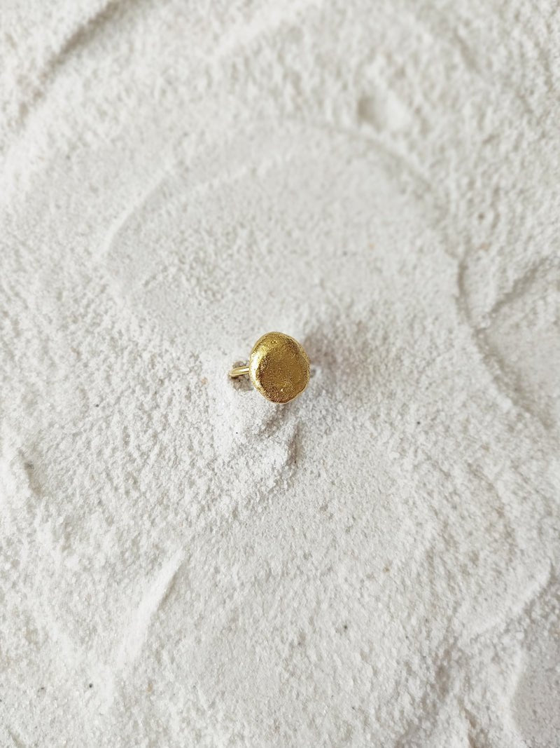 Drew - CiceroniRingDE'ANMA