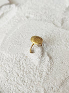 Drew - CiceroniRingDE'ANMA