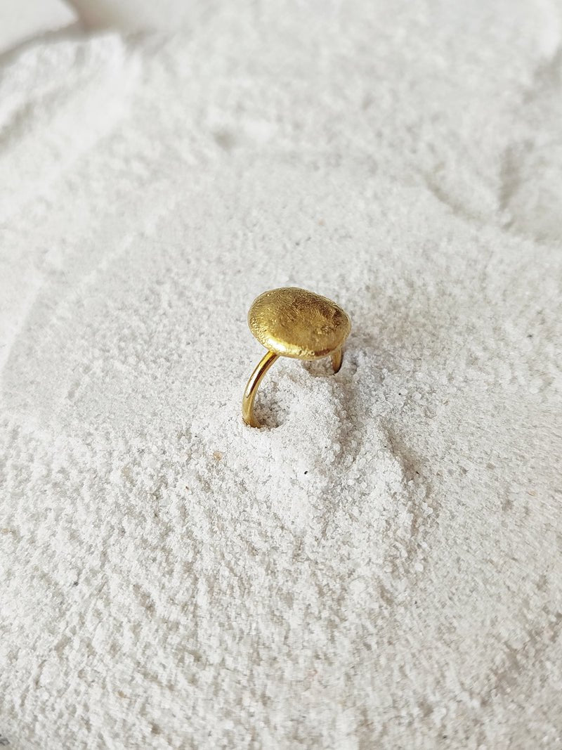 Drew - CiceroniRingDE'ANMA