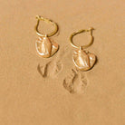 Fossil Hoops - Bugs - CiceroniEarringsStudio Kassa