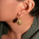 Fossil Hoops - Bugs - CiceroniEarringsStudio Kassa