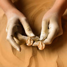 Fossil Hoops - Bugs - CiceroniEarringsStudio Kassa