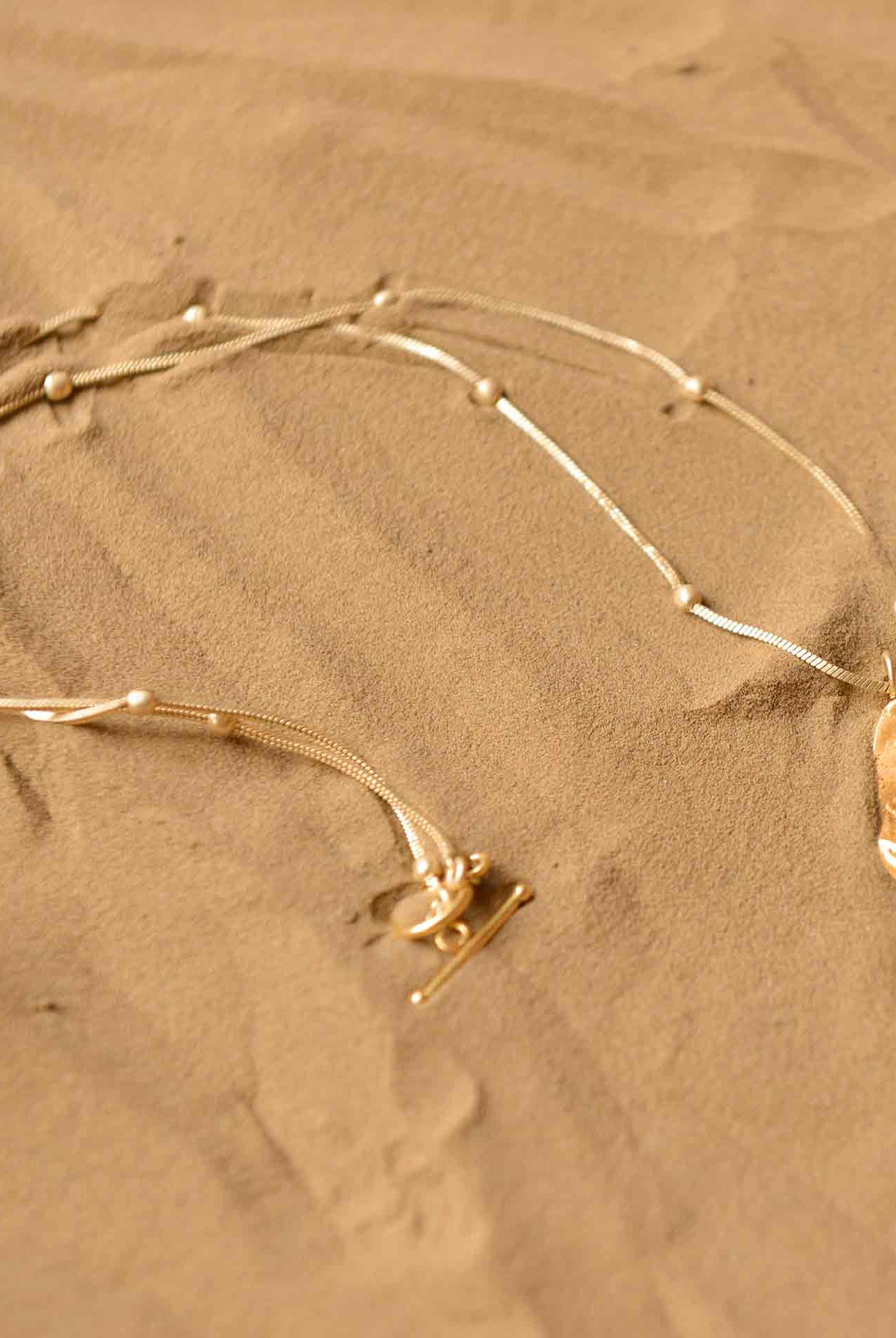 Fossil Pendant - Bug - CiceroniPendantStudio Kassa