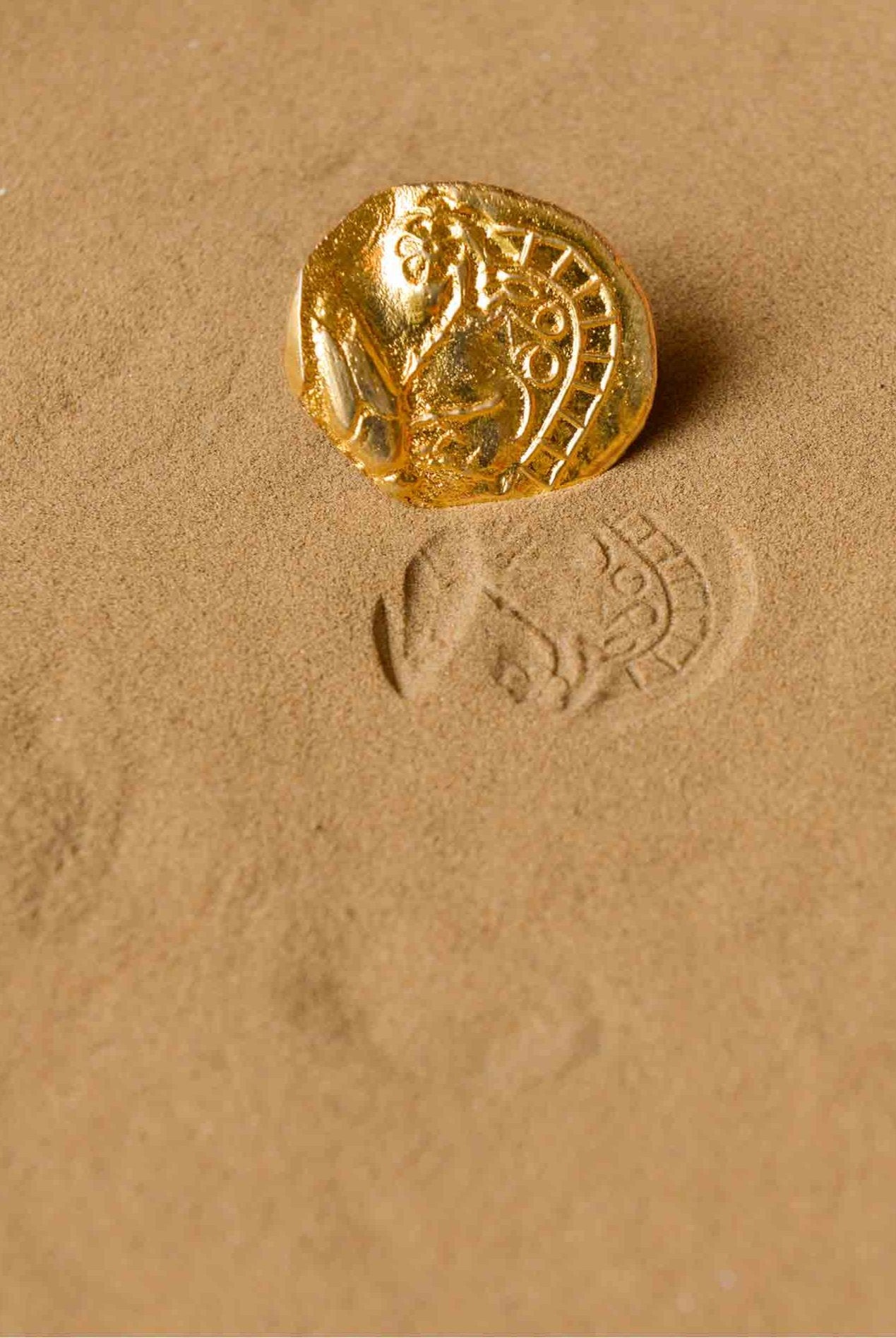 Fossil Ring - Irregular Circle - CiceroniRingsStudio Kassa