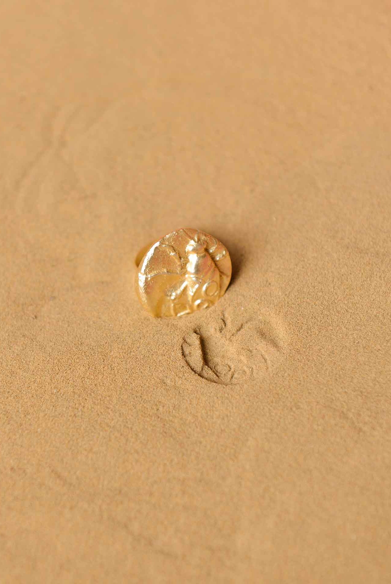 Fossil Ring - Medium - CiceroniRingsStudio Kassa