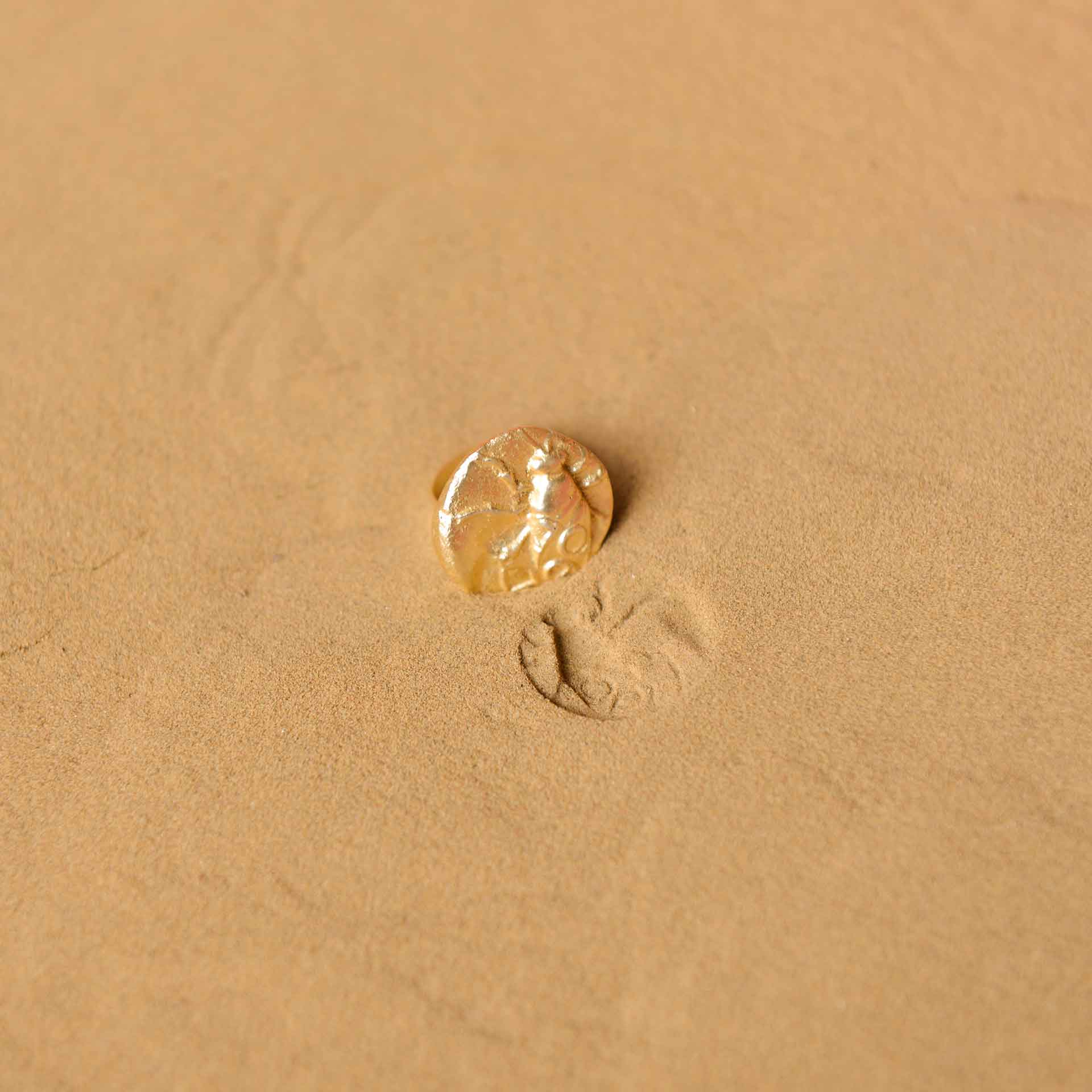 Fossil Ring - Medium - CiceroniRingsStudio Kassa