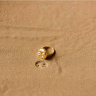 Fossil Ring - Small - CiceroniRingsStudio Kassa