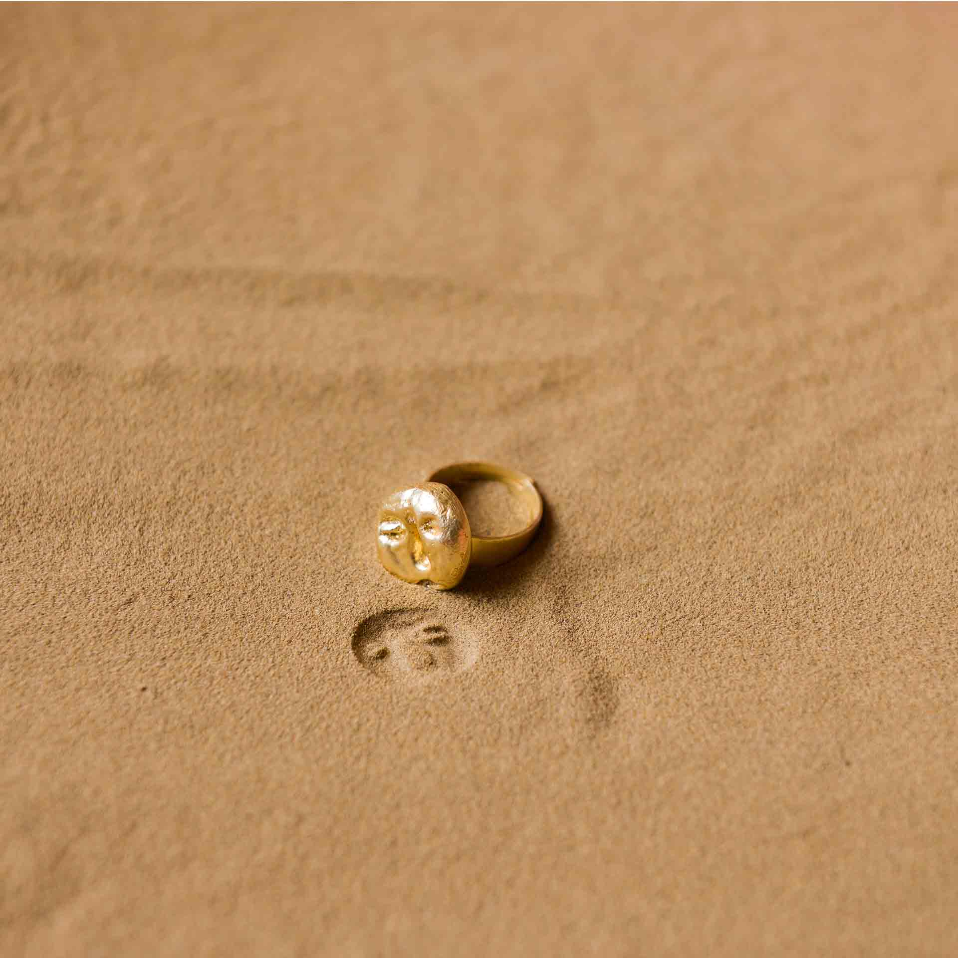 Fossil Ring - Small - CiceroniRingsStudio Kassa