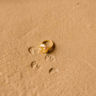 Fossil Ring - Small - CiceroniRingsStudio Kassa