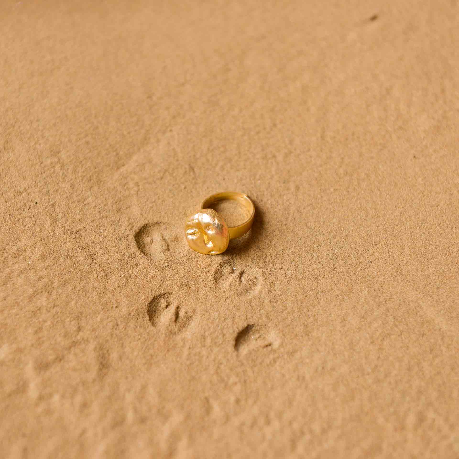 Fossil Ring - Small - CiceroniRingsStudio Kassa