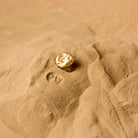 Fossil Ring - Small - CiceroniRingsStudio Kassa