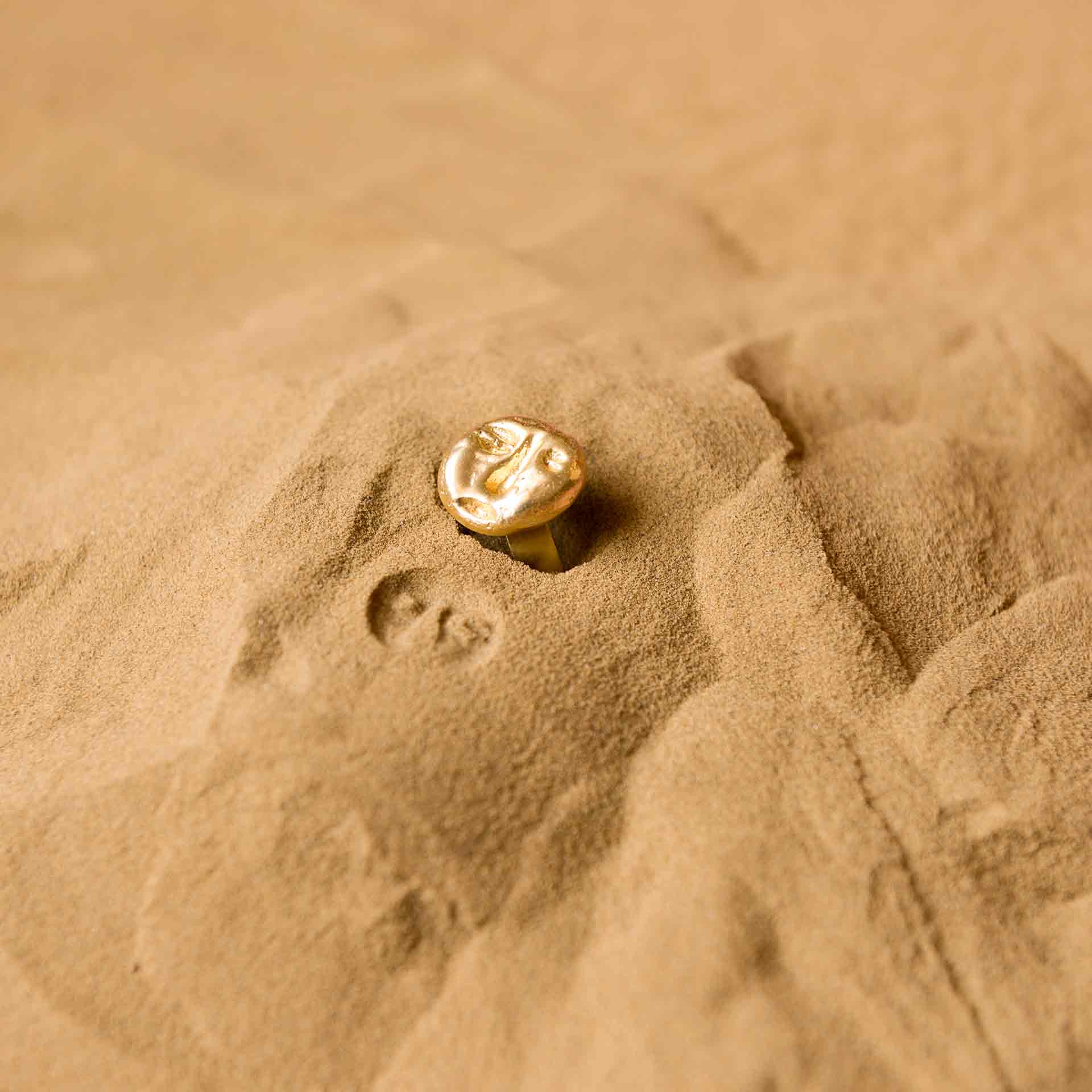 Fossil Ring - Small - CiceroniRingsStudio Kassa