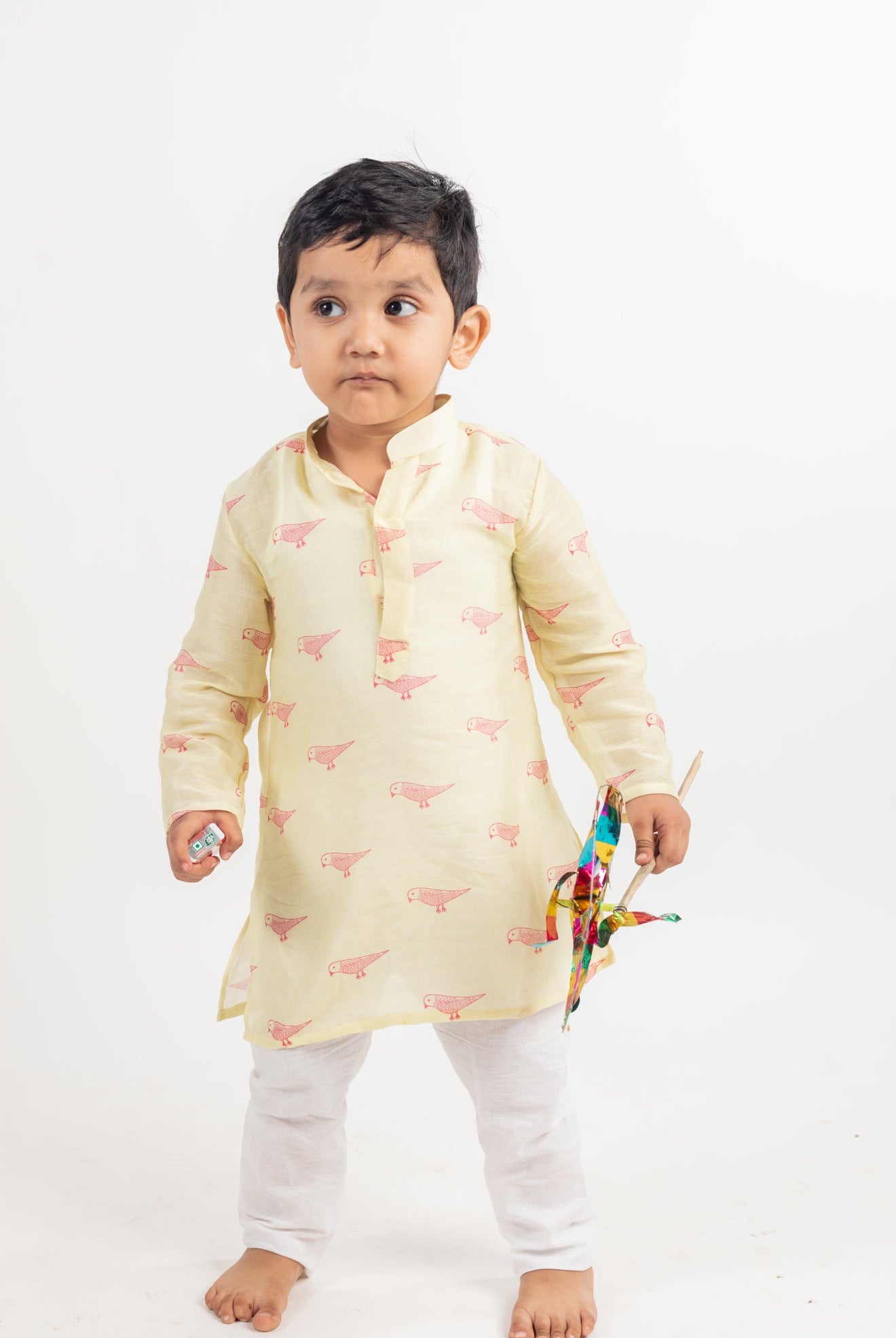 Full Sleeve Bird Print Kurta - CiceroniMr. Brat