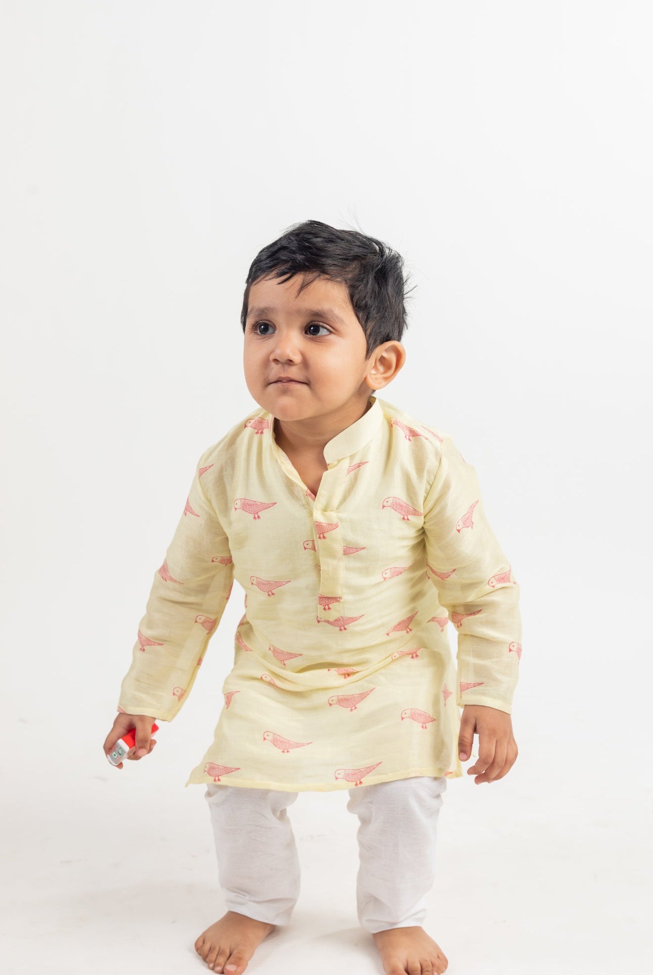 Full Sleeve Bird Print Kurta - CiceroniMr. Brat